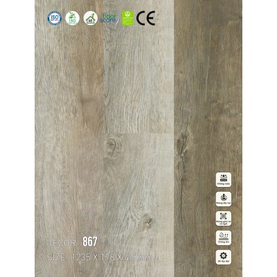 Sàn nhựa VinapoLy 4.5mm 867