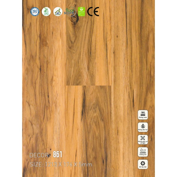 Sàn nhựa VinapoLy 5mm V861