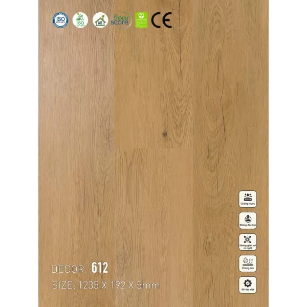 Sàn nhựa VinapoLy 5mm V612