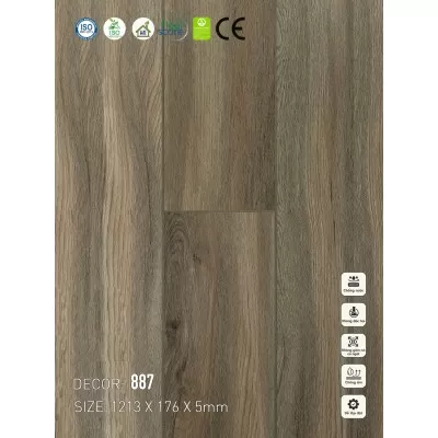 Sàn nhựa VinapoLy 5mm V887