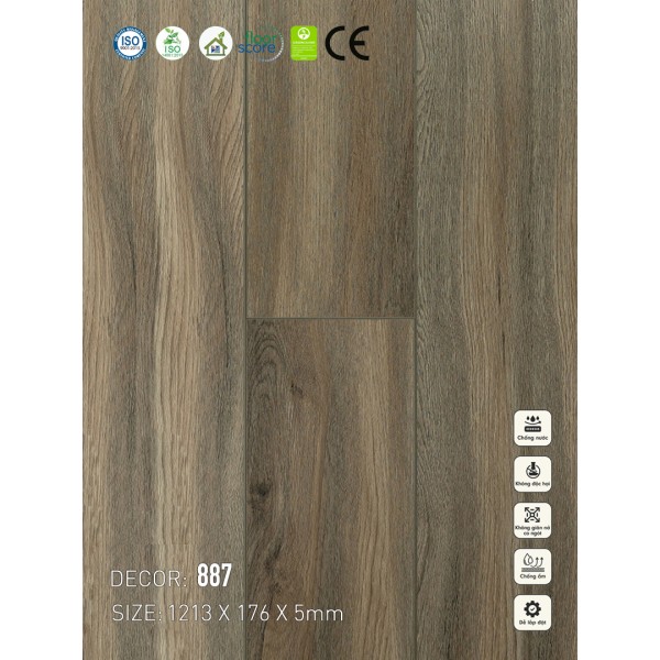 Sàn nhựa VinapoLy 5mm V887