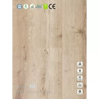 Sàn nhựa VinapoLy 5mm V859