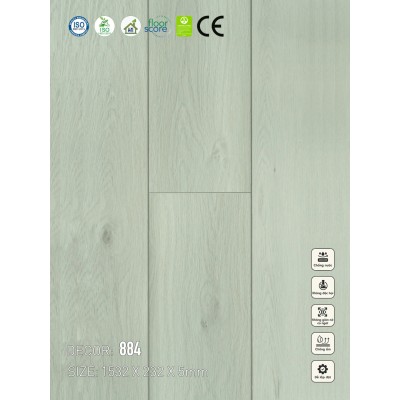 Sàn nhựa VinapoLy 5mm V884