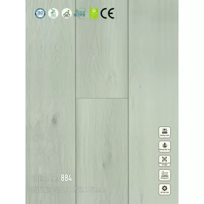 Sàn nhựa VinapoLy 5mm V884