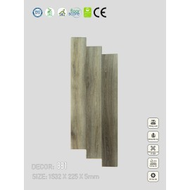 Sàn nhựa VinapoLy 5mm V881
