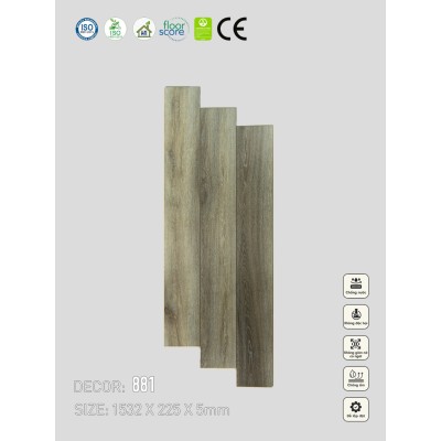 Sàn nhựa VinapoLy 5mm V881