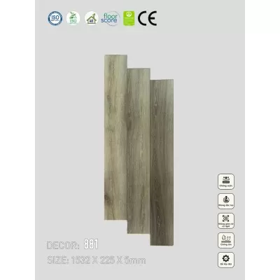 Sàn nhựa VinapoLy 5mm V881
