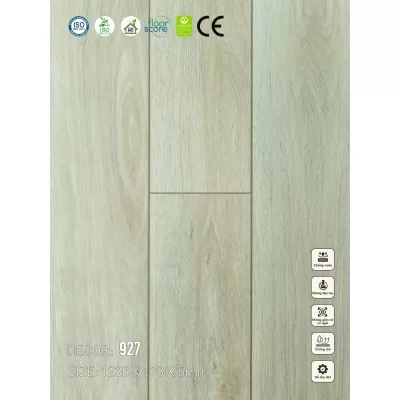 Sàn nhựa VinapoLy 5mm V927