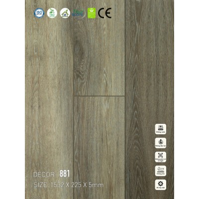 Sàn nhựa VinapoLy 5mm V881