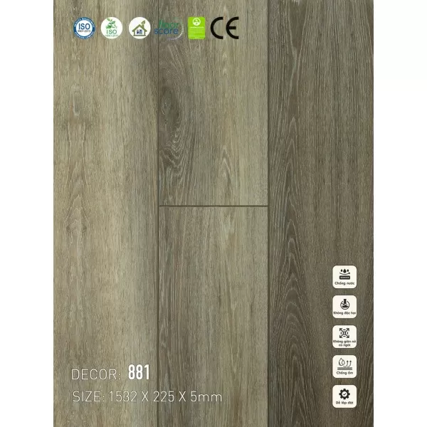 Sàn nhựa VinapoLy 5mm V881