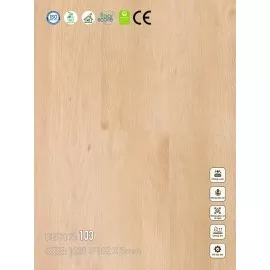 Sàn nhựa VinapoLy 5mm V103