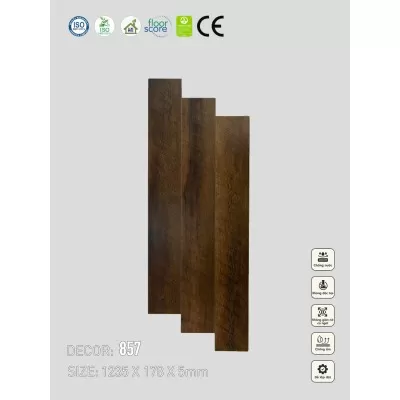  Sàn nhựa VinapoLy 5mm V857