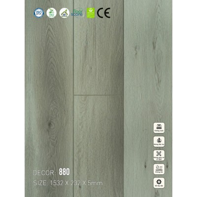 Sàn nhựa VinapoLy 5mm V880