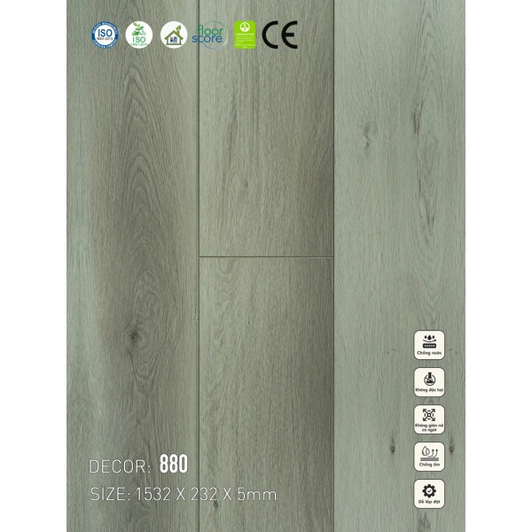 Sàn nhựa VinapoLy 5mm V880